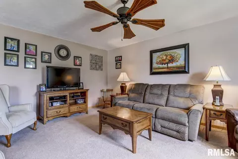 217 Mill St, Loami, IL 62661 photo 8