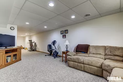 217 Mill St, Loami, IL 62661 photo 24