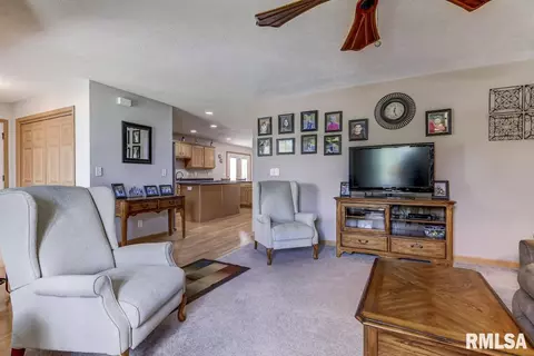 217 Mill St, Loami, IL 62661 photo 4