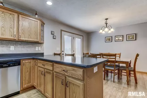 217 Mill St, Loami, IL 62661 photo 14