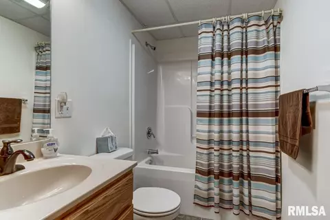 217 Mill St, Loami, IL 62661 photo 30