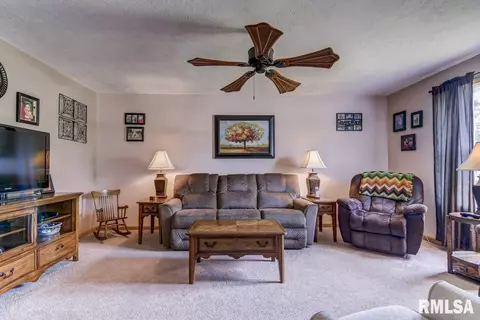 217 Mill St, Loami, IL 62661 photo 5