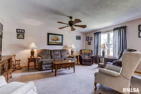 217 Mill St, Loami, IL 62661 photo 7