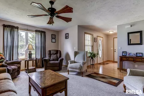 217 Mill St, Loami, IL 62661 photo 9