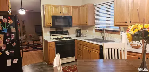 127 Genoa Dr, Springfield, IL 62703 photo 5