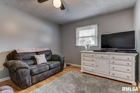 2301 Tamaroa Trl, Springfield, IL 62702 photo 18