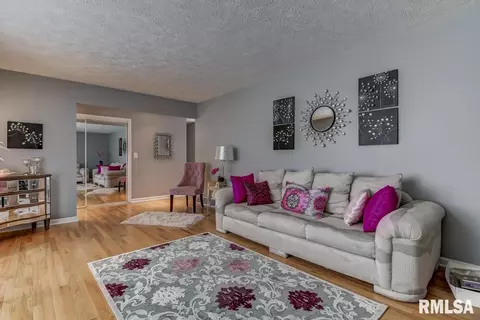 2301 Tamaroa Trl, Springfield, IL 62702 photo 3