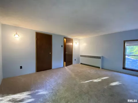 310 E Wood St, Avon, IL 61415 photo 43
