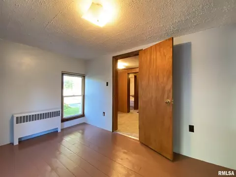 310 E Wood St, Avon, IL 61415 photo 39