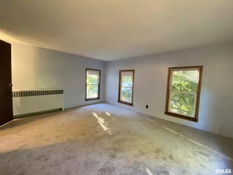 310 E Wood St, Avon, IL 61415 photo 42