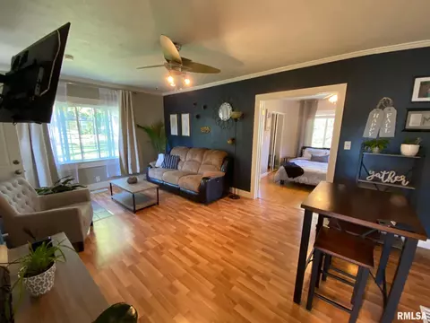 1546 Reed Ave, Springfield, IL 62704 photo 8