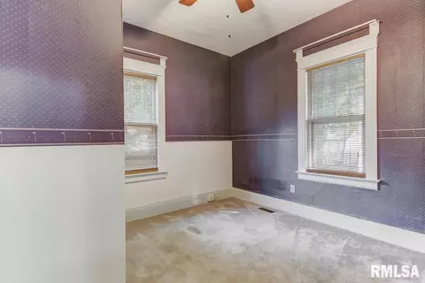 433 W Vine Ave, Springfield, IL 62704 photo 27