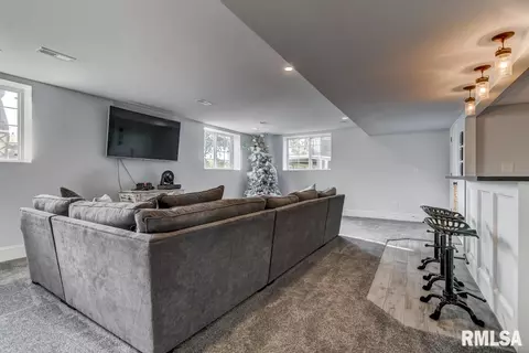 912 Pheasant Run, Sherman, IL 62684 photo 20