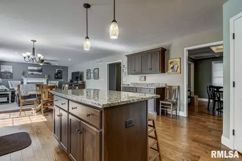 1620 Bilbridge Ln, Chatham, IL 62629 photo 15