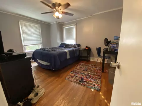 1500 S Douglas Ave, Springfield, IL 62704 photo 19