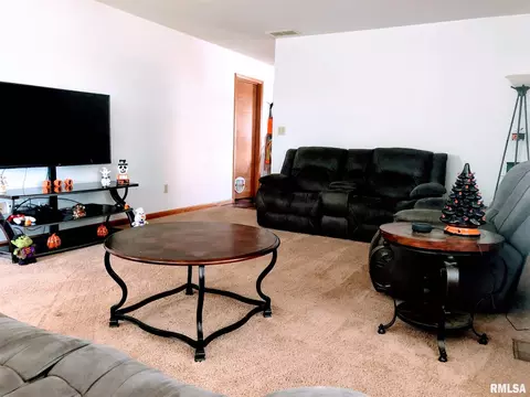 305 E Locust St, Chatham, IL 62629 photo 8
