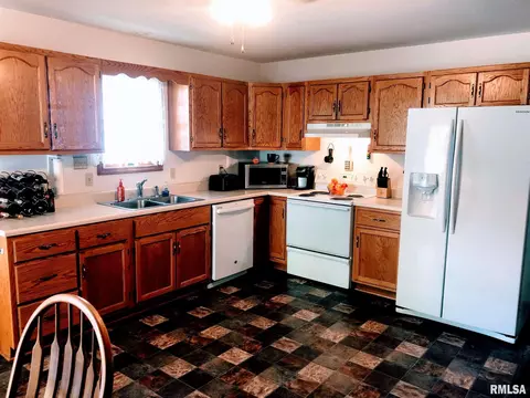 305 E Locust St, Chatham, IL 62629 photo 12