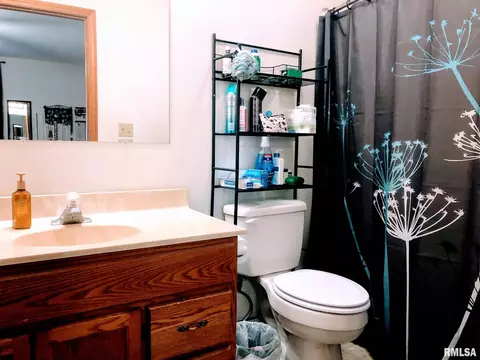 305 E Locust St, Chatham, IL 62629 photo 25