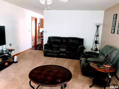 305 E Locust St, Chatham, IL 62629 photo 7