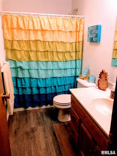 305 E Locust St, Chatham, IL 62629 photo 28