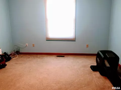 305 E Locust St, Chatham, IL 62629 photo 17