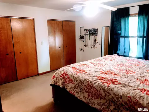 305 E Locust St, Chatham, IL 62629 photo 23