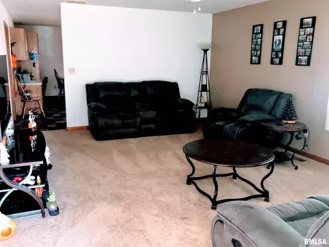 305 E Locust St, Chatham, IL 62629 photo 3