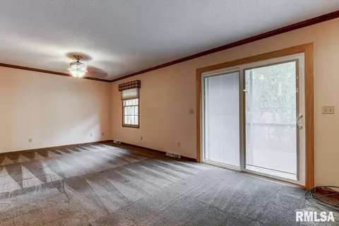 335 Teal Dr, Chatham, IL 62629 photo 18