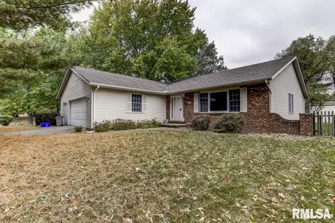 335 Teal Dr, Chatham, IL 62629 photo 39