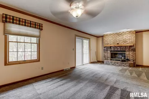 335 Teal Dr, Chatham, IL 62629 photo 16