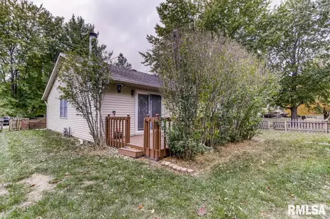 335 Teal Dr, Chatham, IL 62629 photo 34