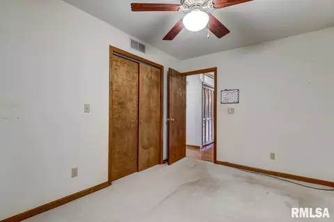 335 Teal Dr, Chatham, IL 62629 photo 31