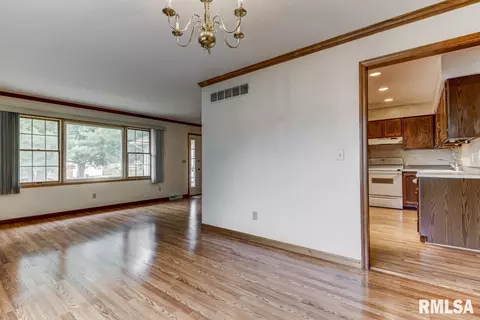 335 Teal Dr, Chatham, IL 62629 photo 11