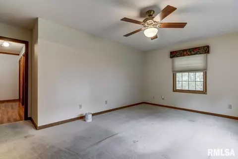 335 Teal Dr, Chatham, IL 62629 photo 23