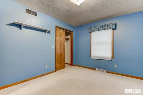 335 Teal Dr, Chatham, IL 62629 photo 27