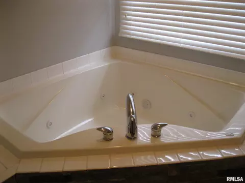 3709 Switchgrass Ct, Springfield, IL 62712 photo 21