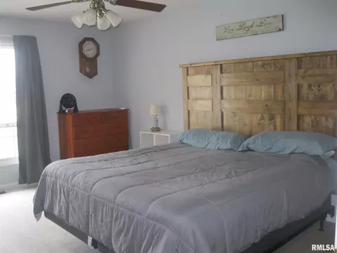 3709 Switchgrass Ct, Springfield, IL 62712 photo 17