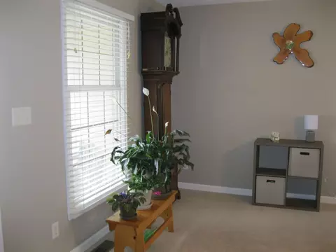 3709 Switchgrass Ct, Springfield, IL 62712 photo 15