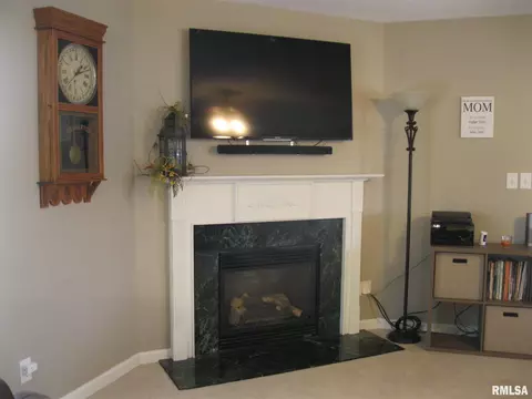 3709 Switchgrass Ct, Springfield, IL 62712 photo 13