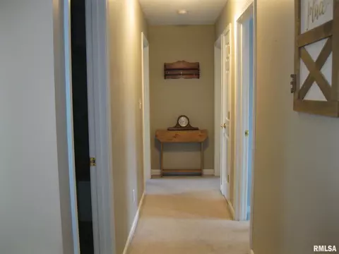 3709 Switchgrass Ct, Springfield, IL 62712 photo 16