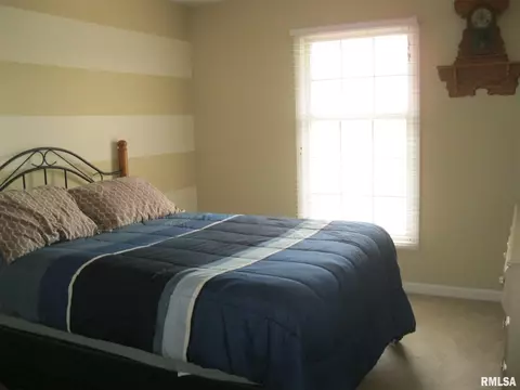 3709 Switchgrass Ct, Springfield, IL 62712 photo 24