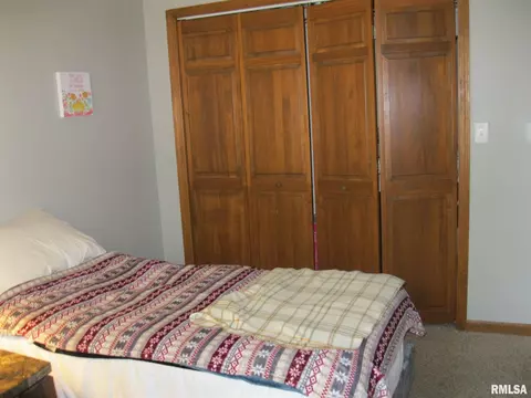 14 Spring Rd, Riverton, IL 62561 photo 29