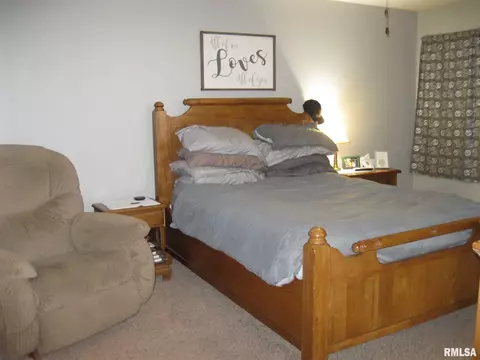 14 Spring Rd, Riverton, IL 62561 photo 23
