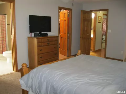 14 Spring Rd, Riverton, IL 62561 photo 24