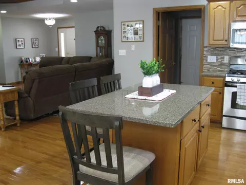 14 Spring Rd, Riverton, IL 62561 photo 10