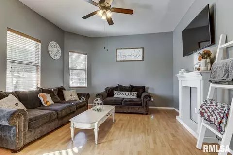 127 W Elliott Ave, Springfield, IL 62702 photo 4