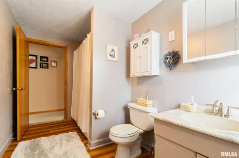 813 E Madison St, Riverton, IL 62561 photo 15