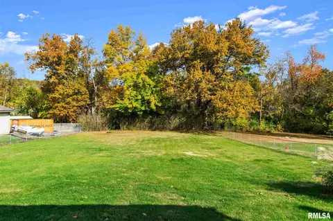 813 E Madison St, Riverton, IL 62561 photo 18