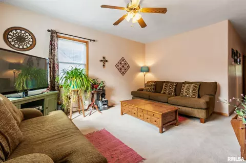 813 E Madison St, Riverton, IL 62561 photo 7