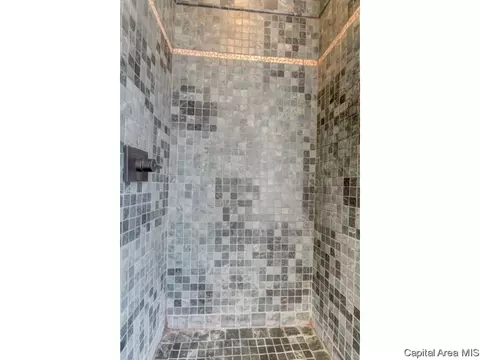904 N 4th St, Springfield, IL 62702 photo 25